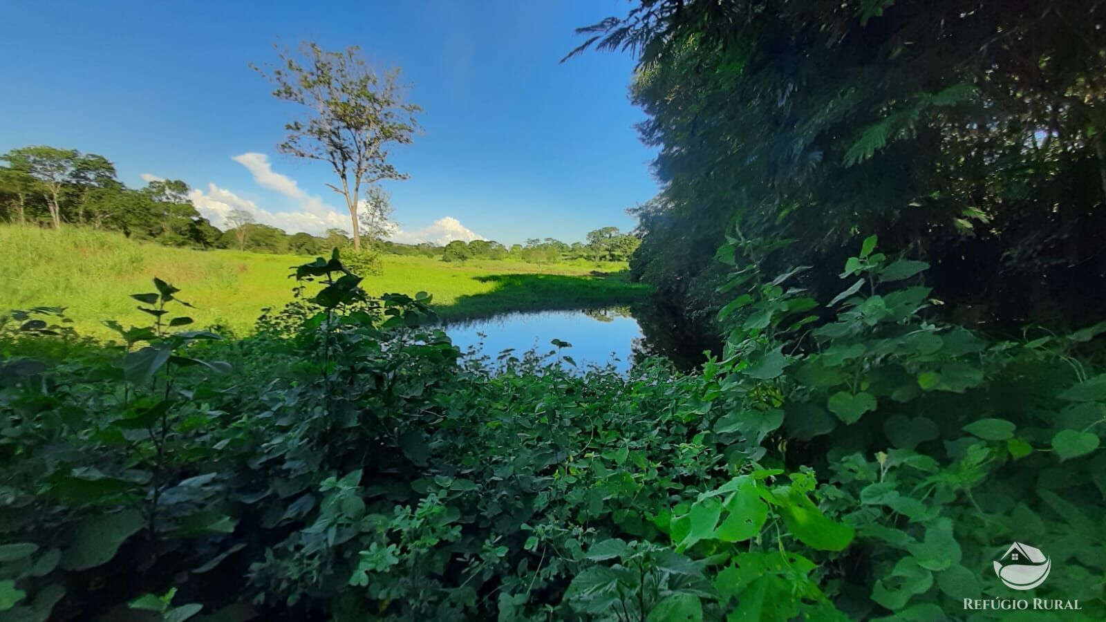 Fazenda à venda com 4 quartos, 4114000m² - Foto 3