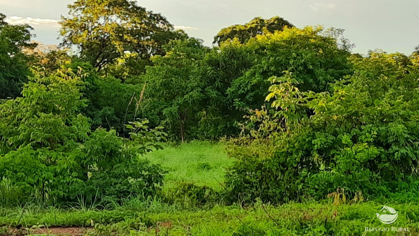 Fazenda à venda com 4 quartos, 4114000m² - Foto 27