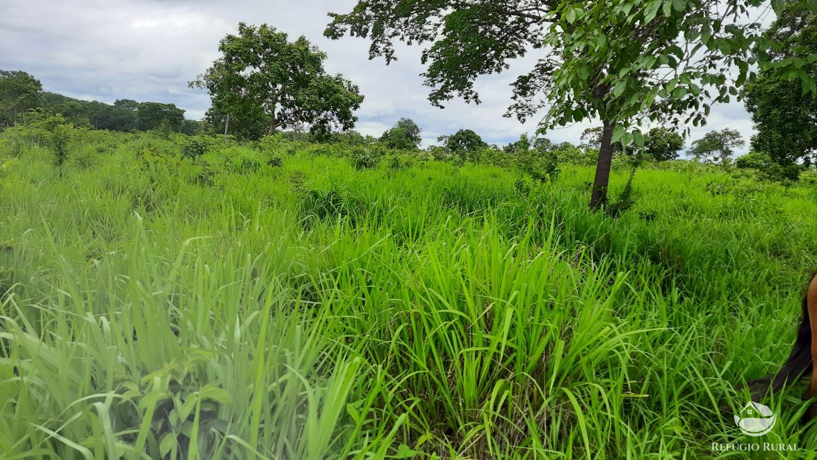 Fazenda à venda com 4 quartos, 4114000m² - Foto 12