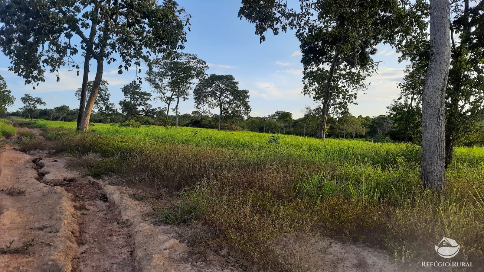 Fazenda à venda com 4 quartos, 4114000m² - Foto 6