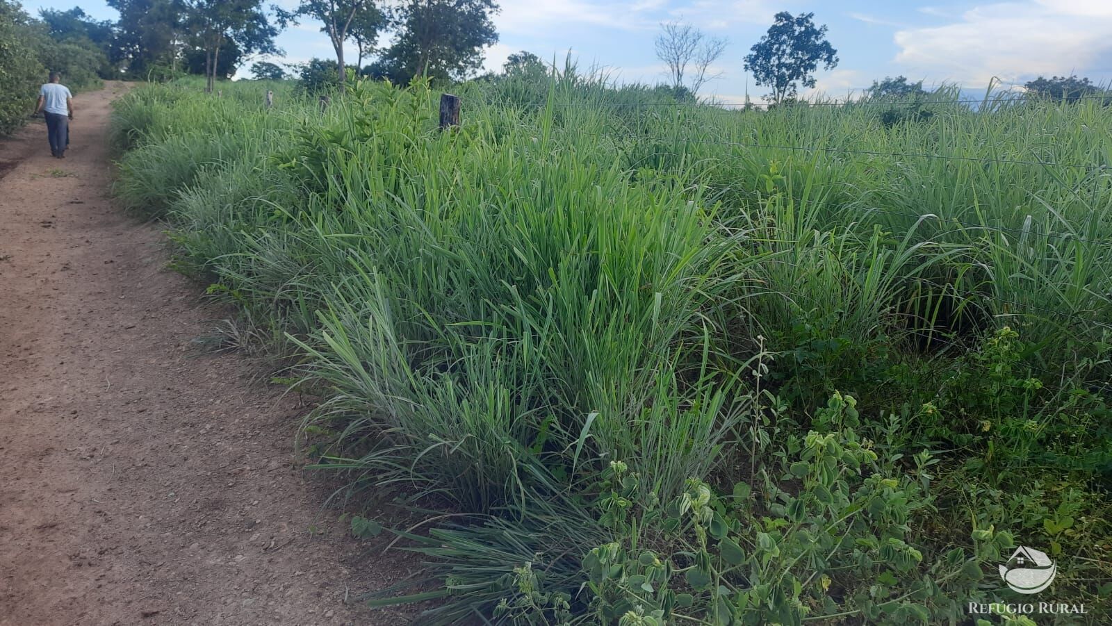 Fazenda à venda com 4 quartos, 4114000m² - Foto 16