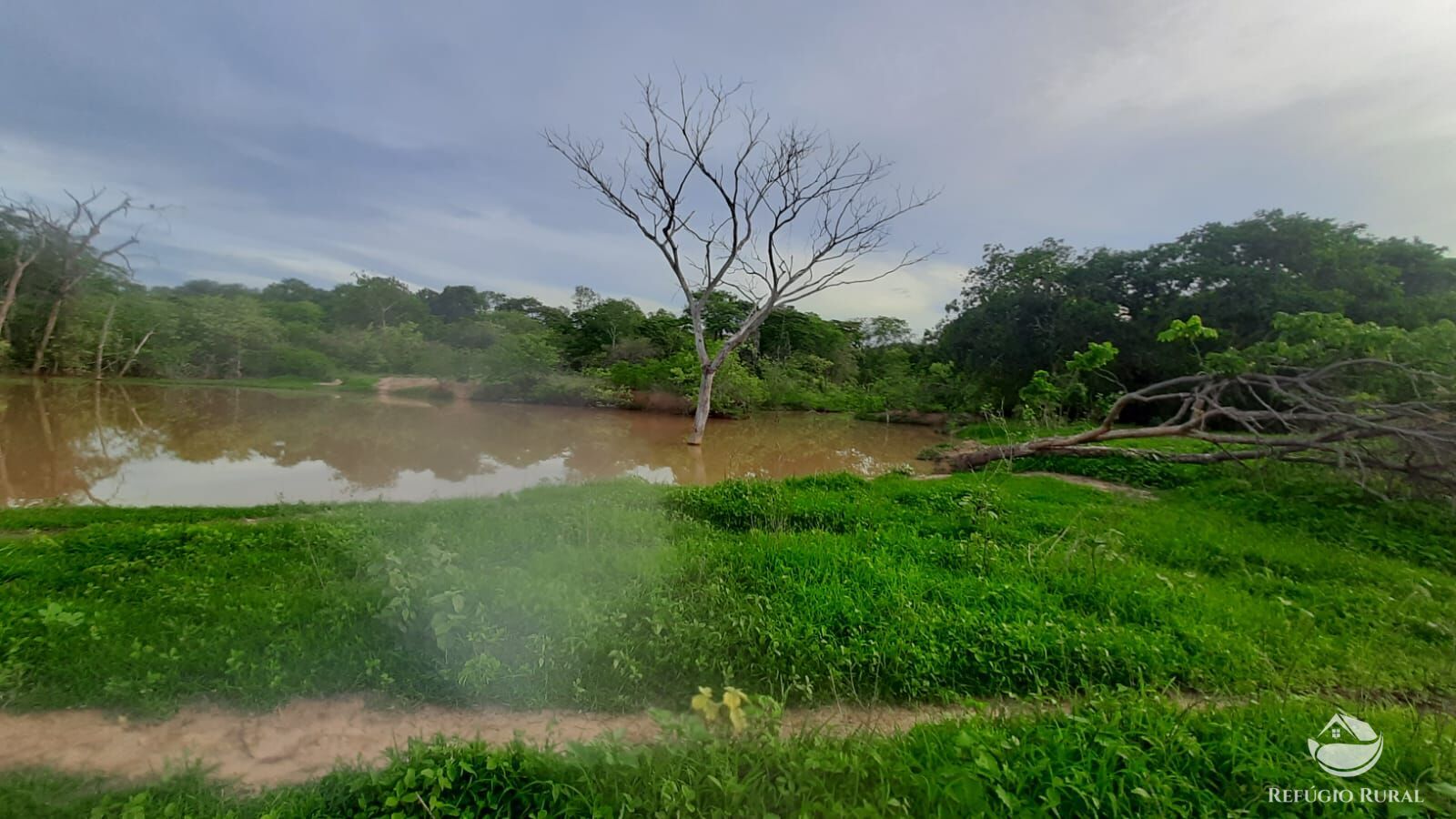 Fazenda à venda com 4 quartos, 4114000m² - Foto 14