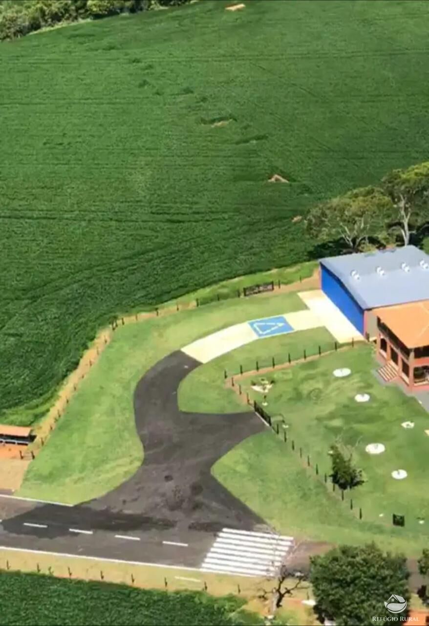 Fazenda, 237 hectares - Foto 6