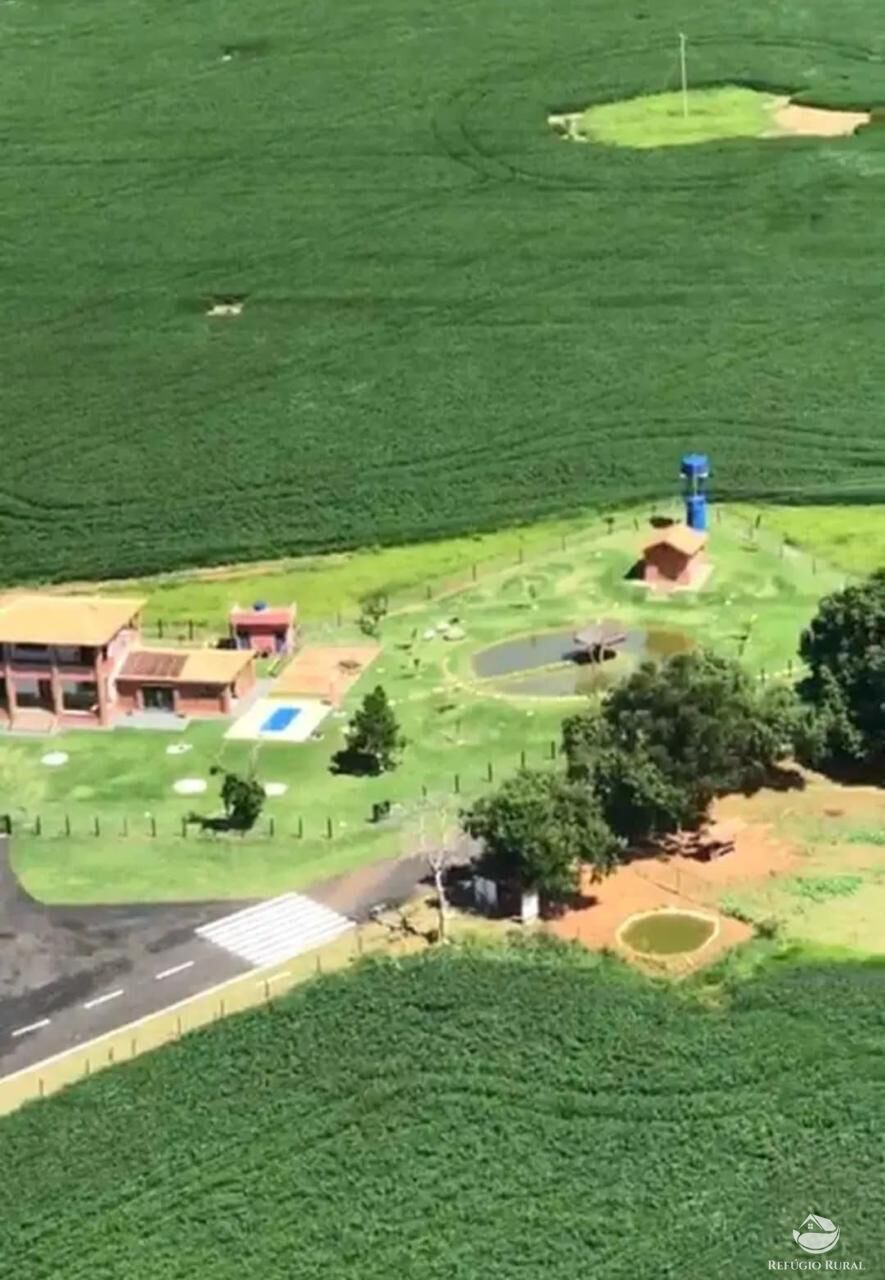 Fazenda, 237 hectares - Foto 4