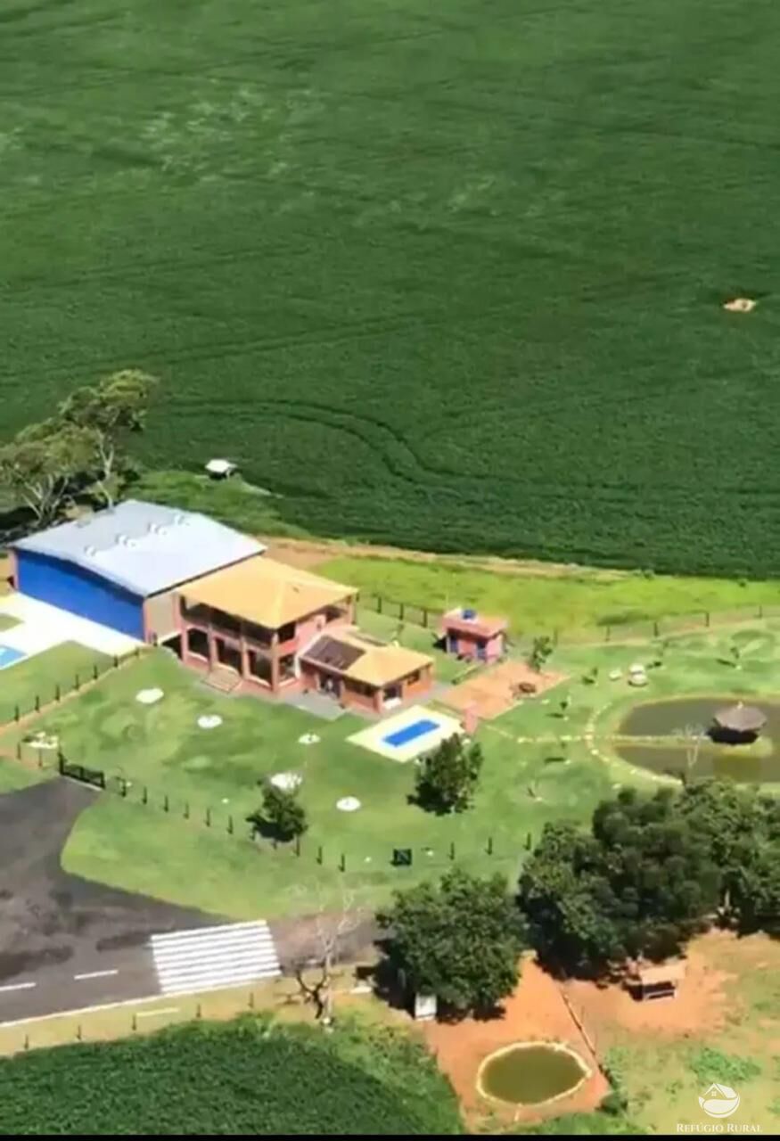 Fazenda, 237 hectares - Foto 5