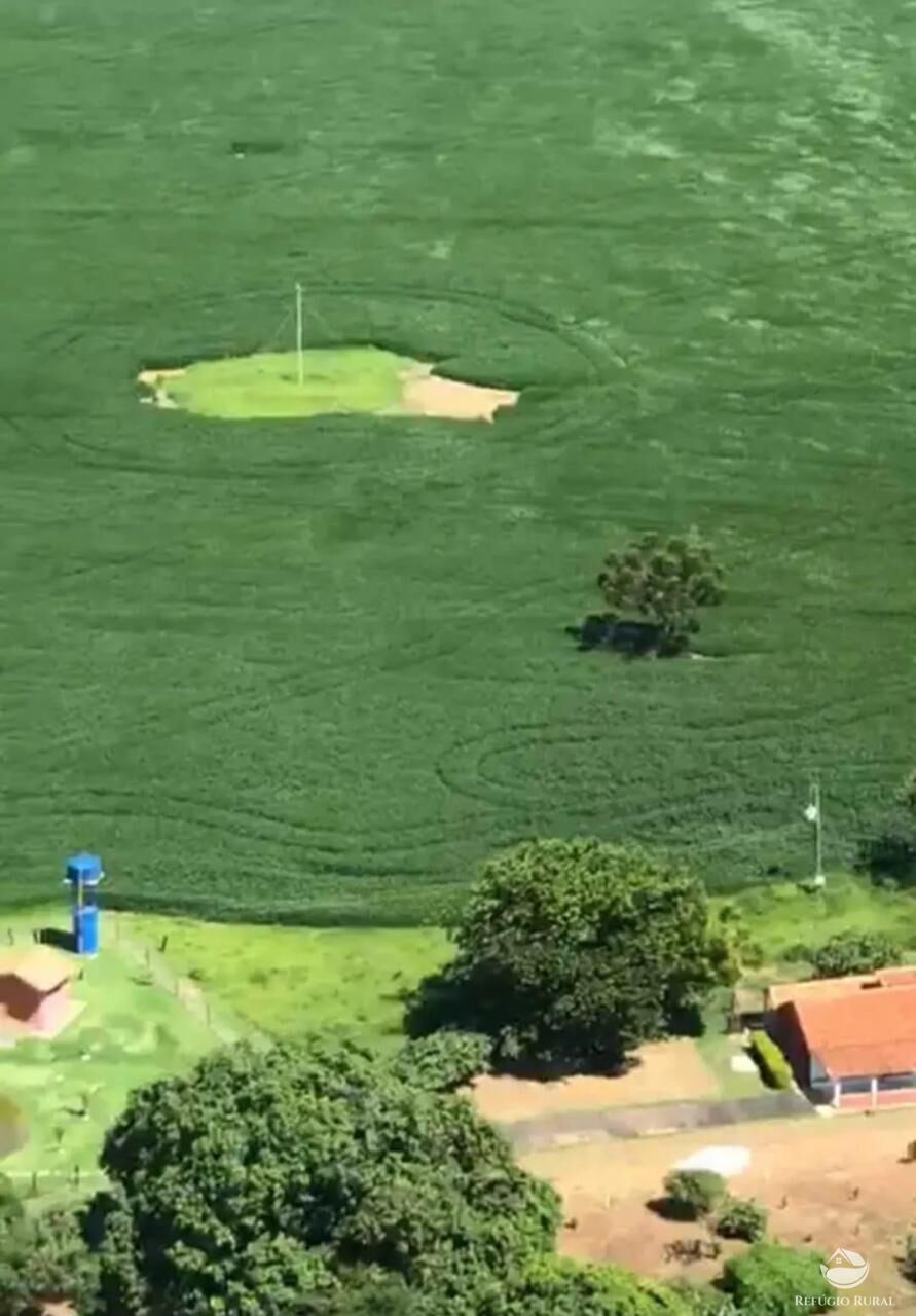 Fazenda, 237 hectares - Foto 7