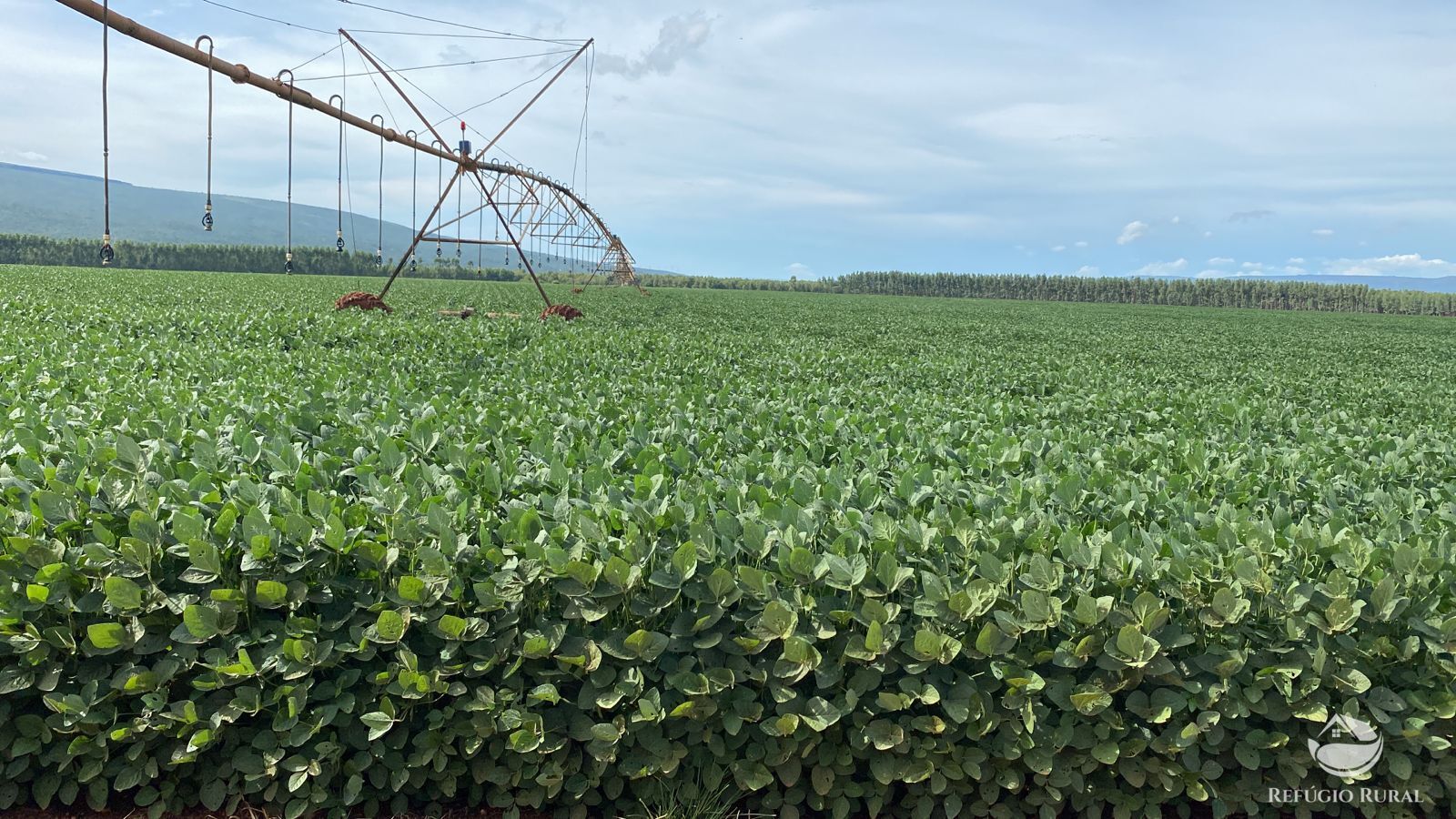 Fazenda à venda com 7 quartos, 25800000m² - Foto 7