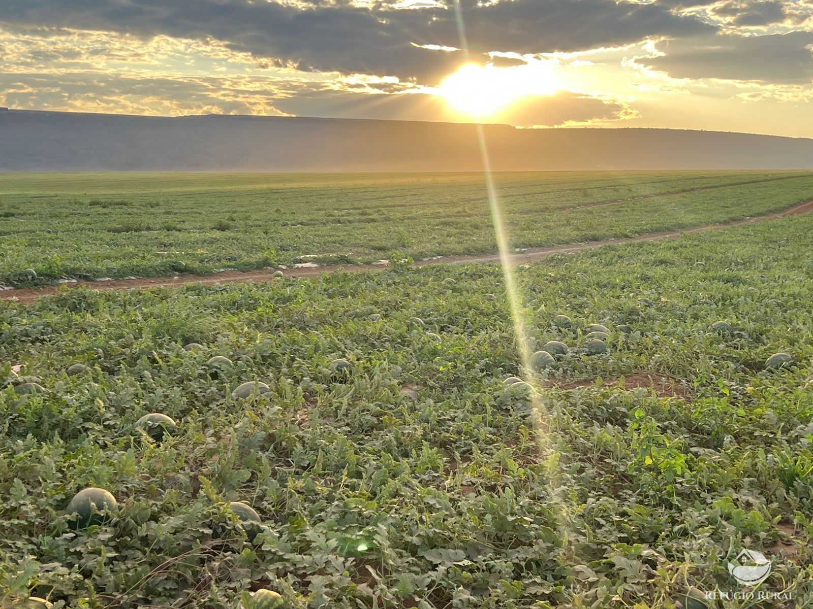 Fazenda à venda com 7 quartos, 25800000m² - Foto 2