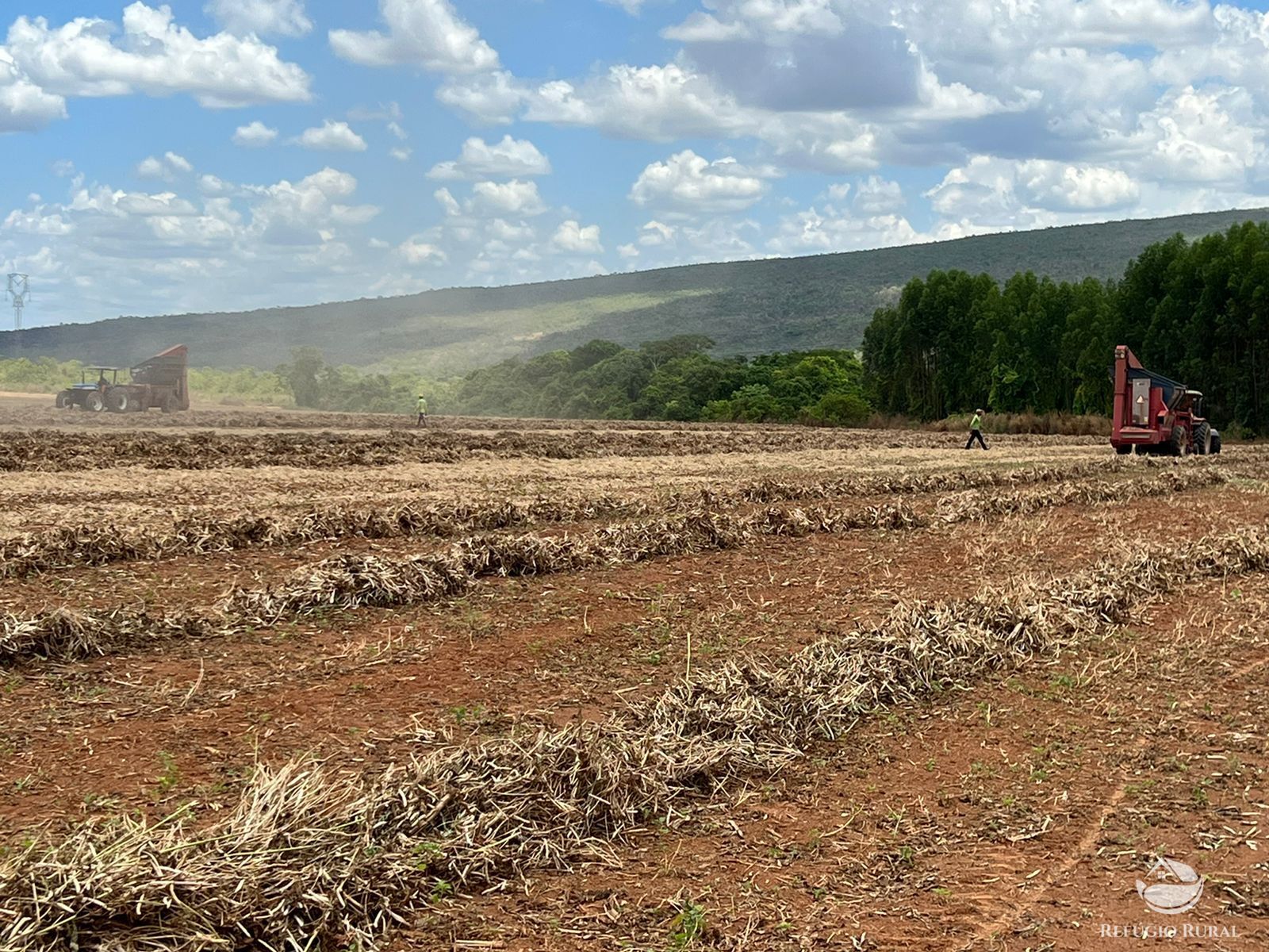 Fazenda à venda com 7 quartos, 25800000m² - Foto 11