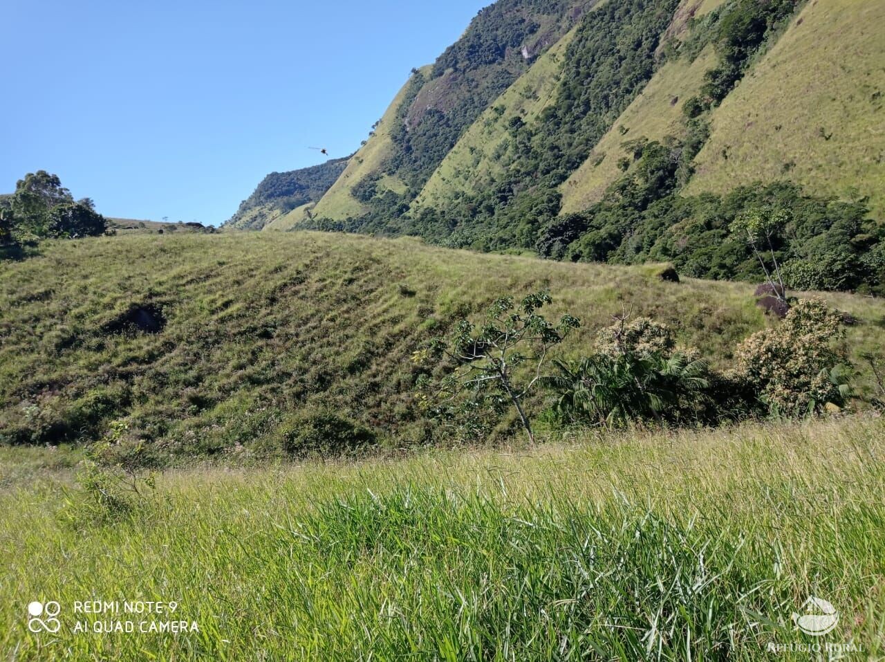 Fazenda à venda com 1 quarto, 117370000m² - Foto 2