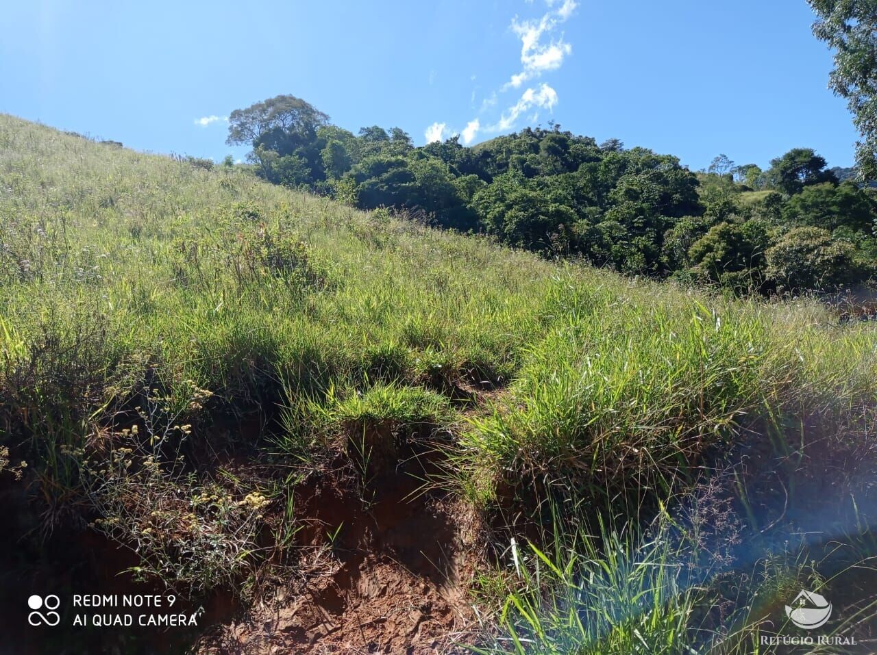 Fazenda à venda com 1 quarto, 117370000m² - Foto 18