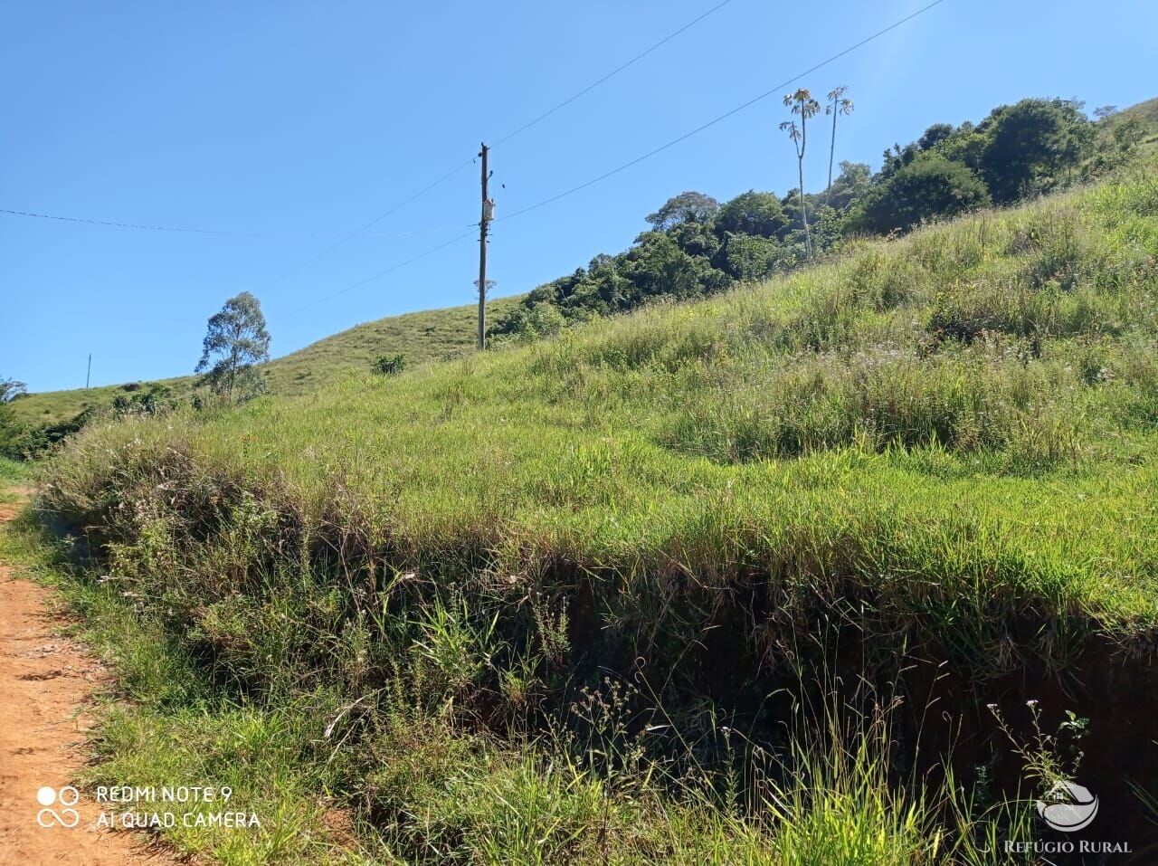 Fazenda à venda com 1 quarto, 117370000m² - Foto 10