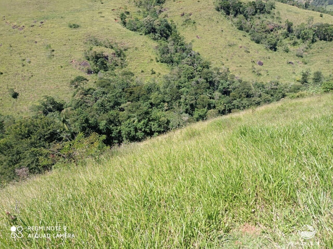 Fazenda à venda com 1 quarto, 117370000m² - Foto 32