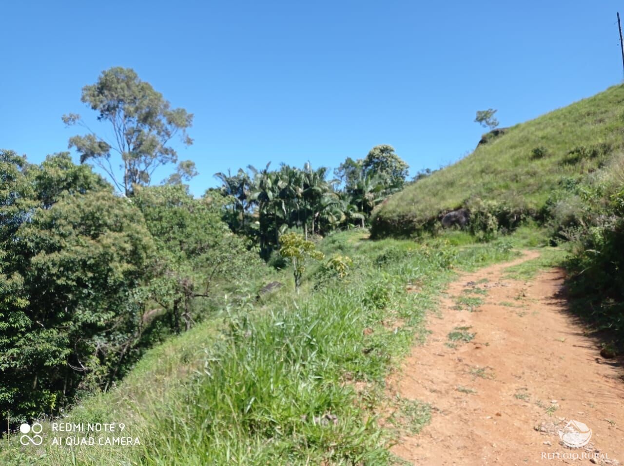 Fazenda à venda com 1 quarto, 117370000m² - Foto 31