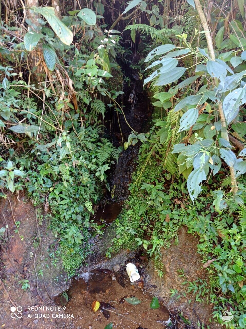 Fazenda à venda com 1 quarto, 117370000m² - Foto 6