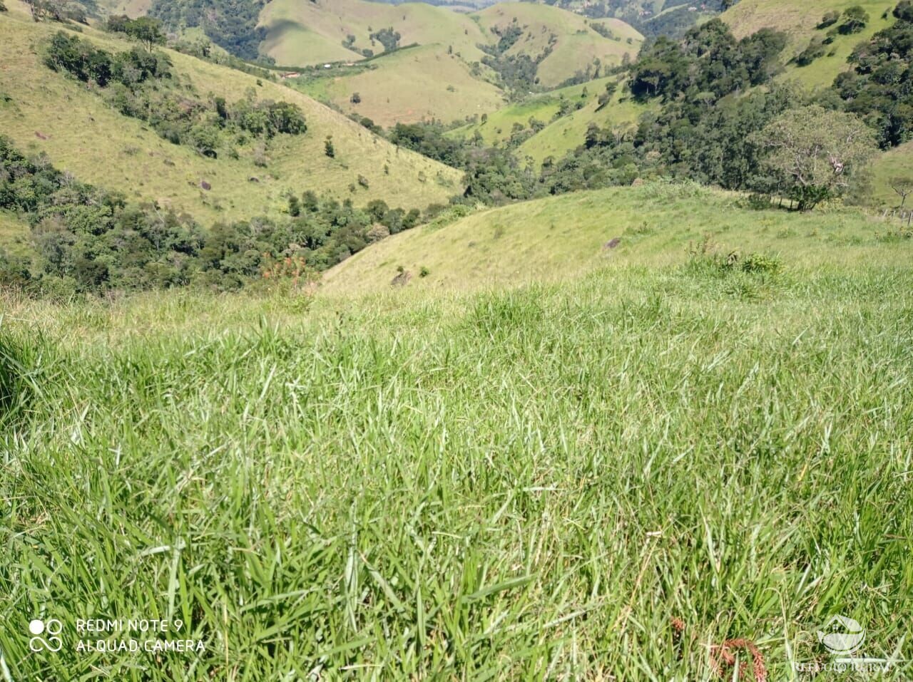 Fazenda à venda com 1 quarto, 117370000m² - Foto 19