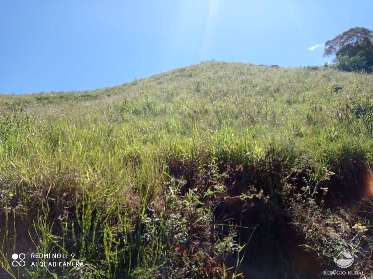 Fazenda à venda com 1 quarto, 117370000m² - Foto 28