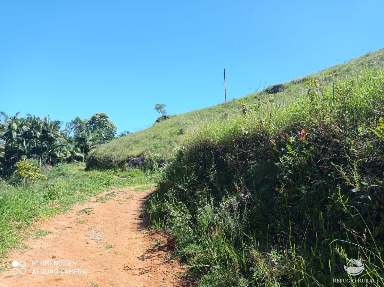 Fazenda à venda com 1 quarto, 117370000m² - Foto 23