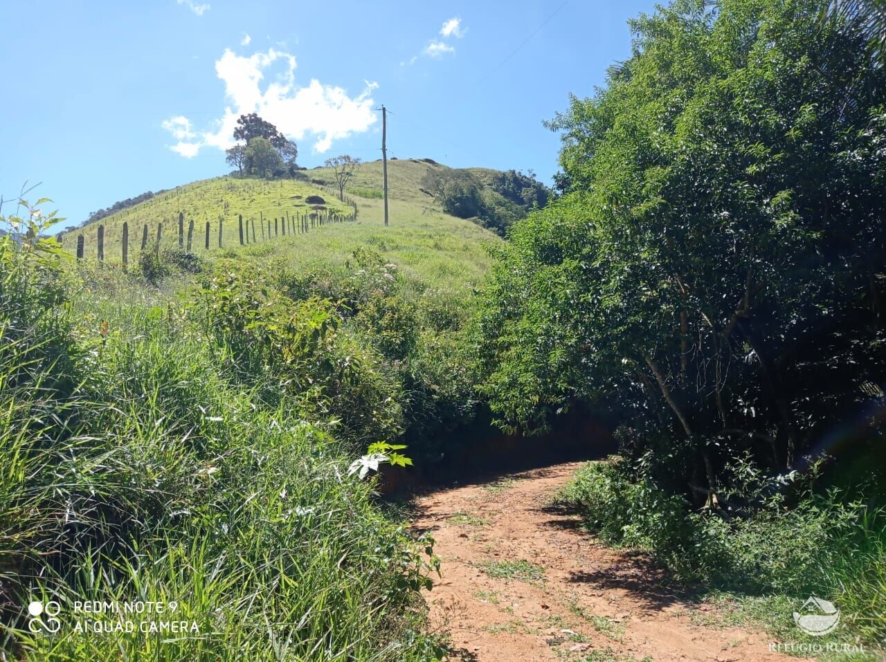 Fazenda à venda com 1 quarto, 117370000m² - Foto 25