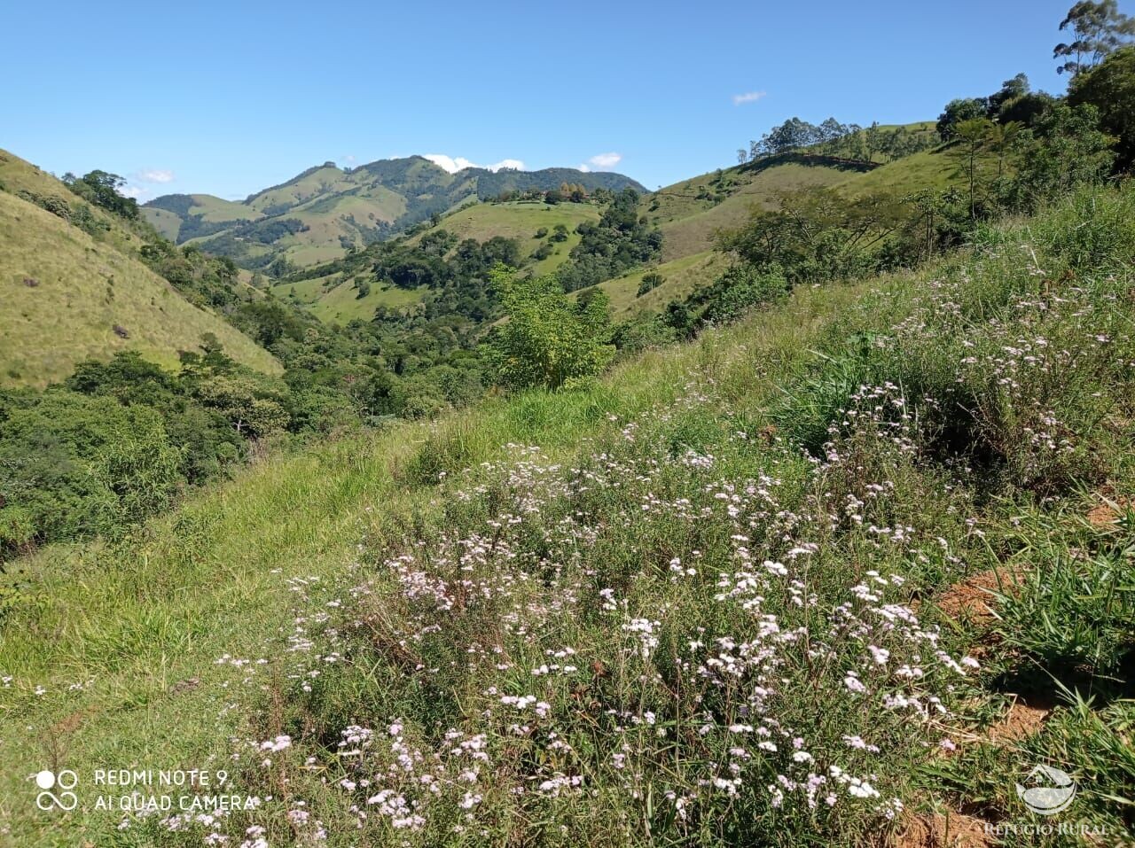 Fazenda à venda com 1 quarto, 117370000m² - Foto 13