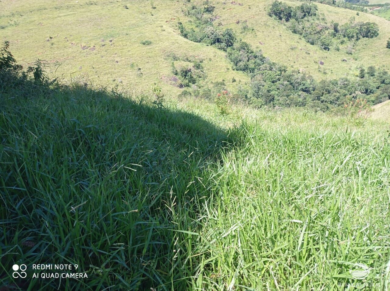 Fazenda à venda com 1 quarto, 117370000m² - Foto 7