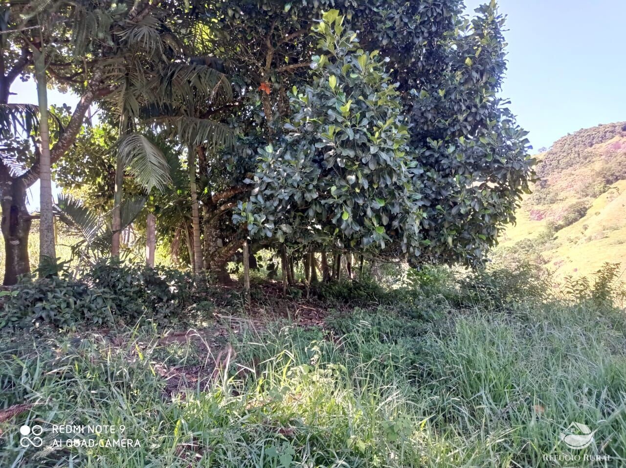 Fazenda à venda com 1 quarto, 117370000m² - Foto 11