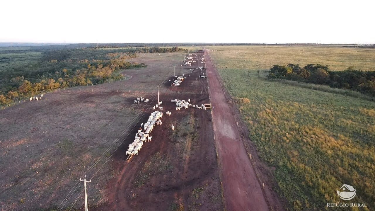 Fazenda à venda com 3 quartos, 72000000m² - Foto 1