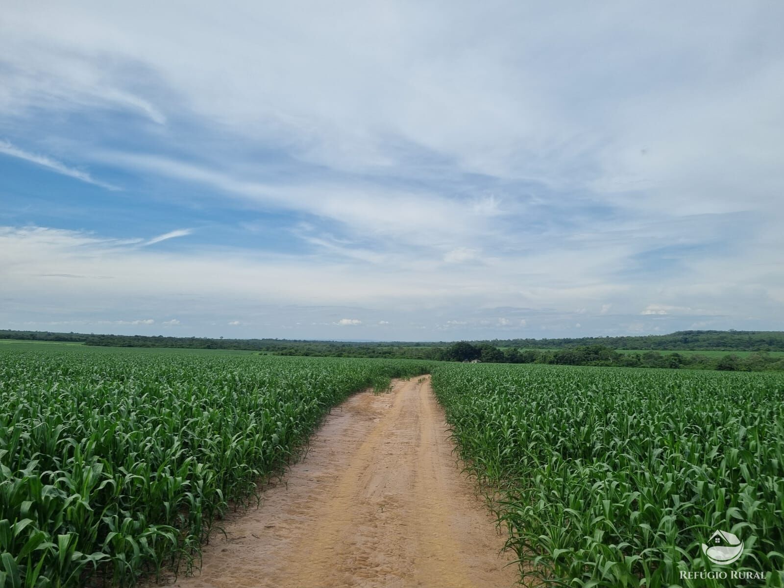 Fazenda à venda com 3 quartos, 72000000m² - Foto 13