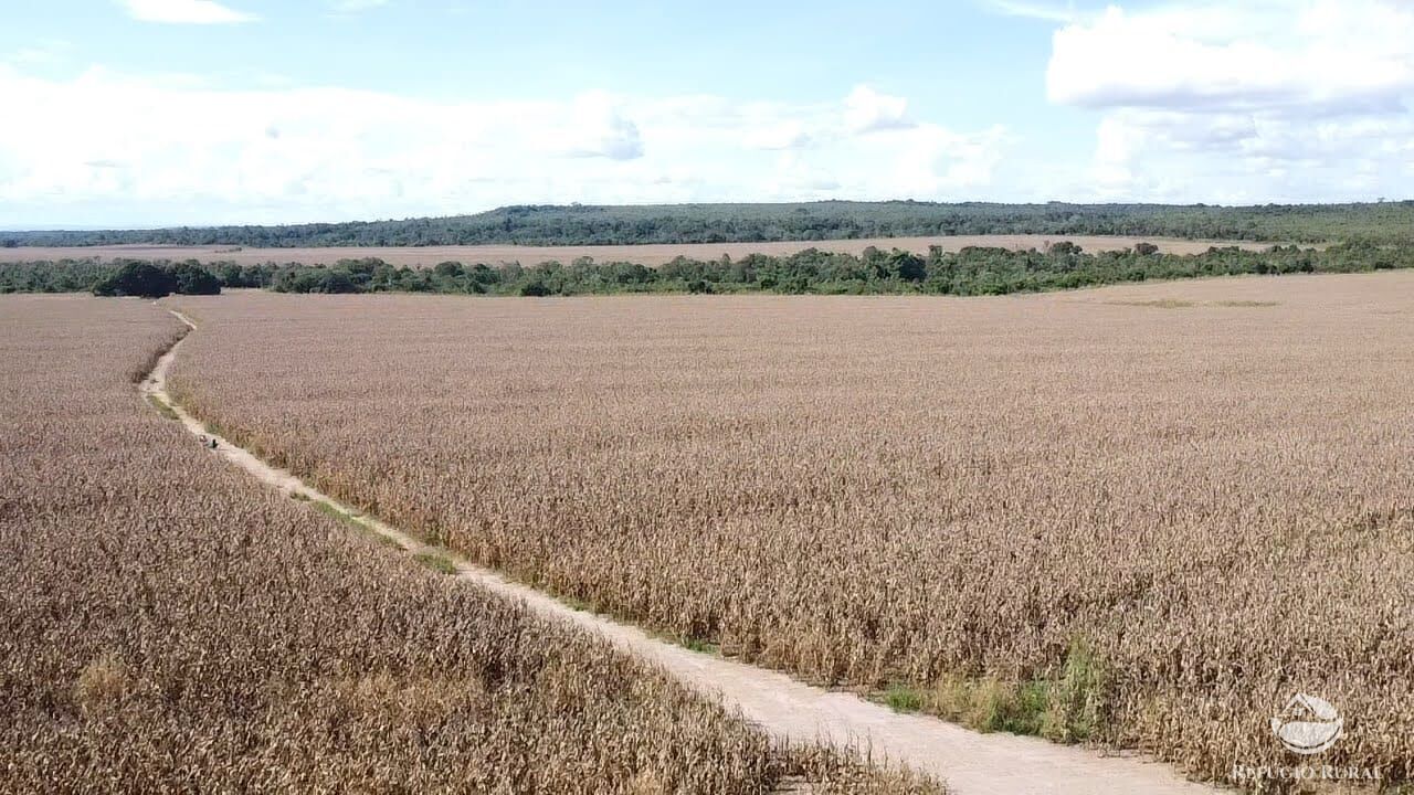 Fazenda à venda com 3 quartos, 72000000m² - Foto 5