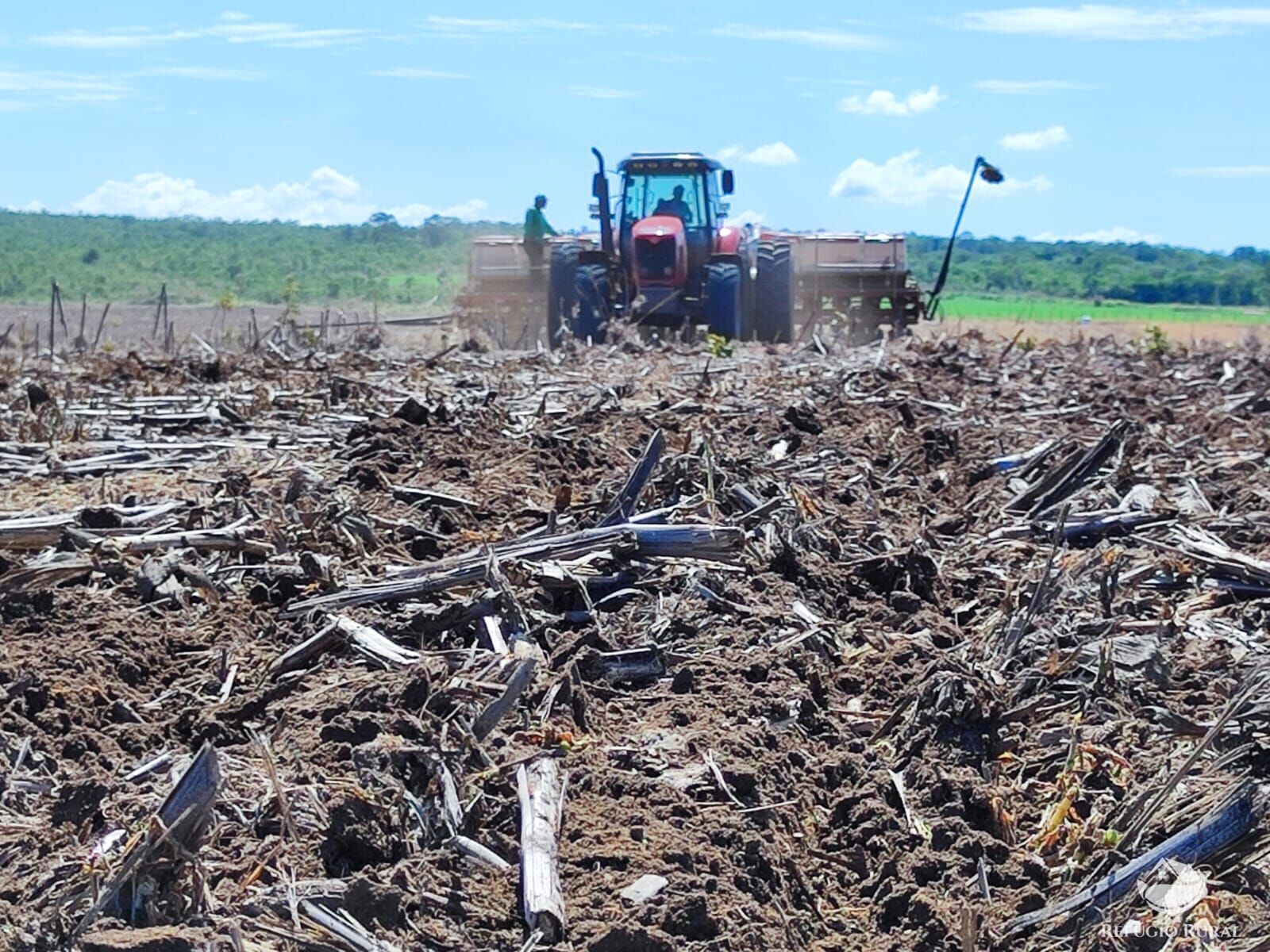 Fazenda à venda com 3 quartos, 72000000m² - Foto 9