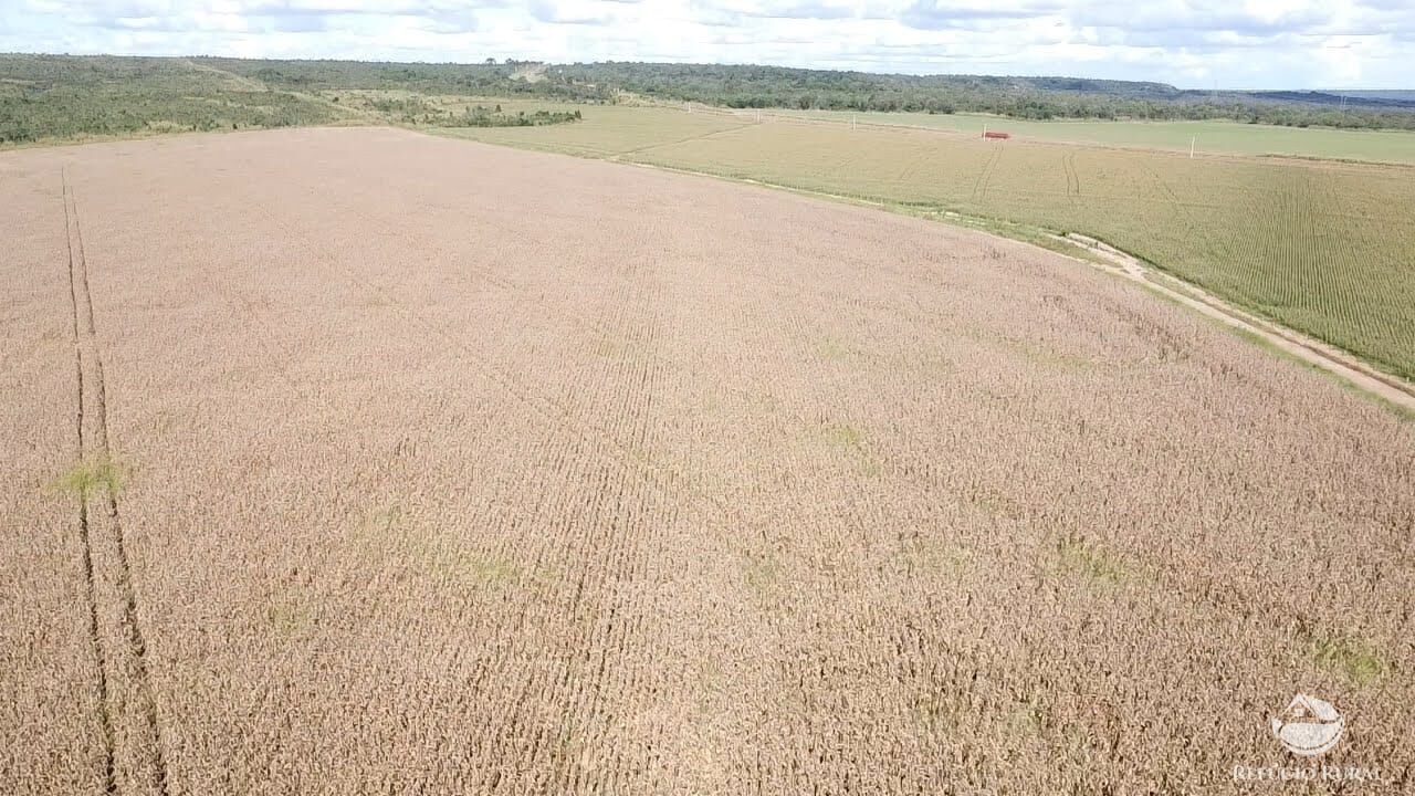 Fazenda à venda com 3 quartos, 72000000m² - Foto 6