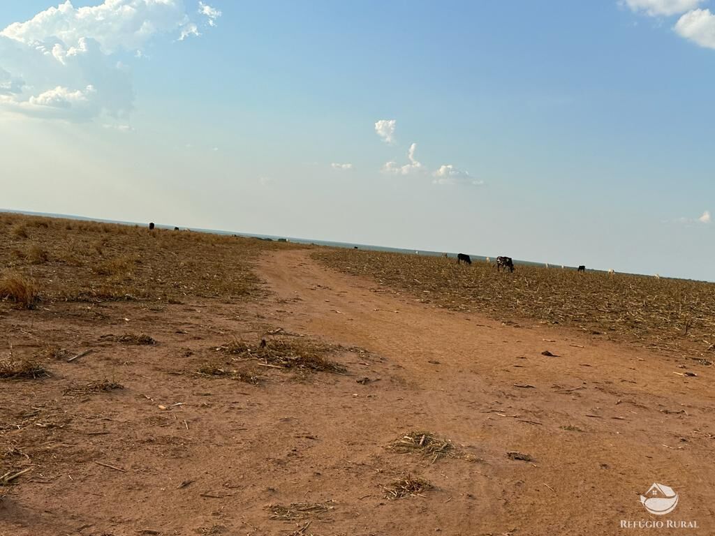 Fazenda à venda com 4 quartos, 110000000m² - Foto 18