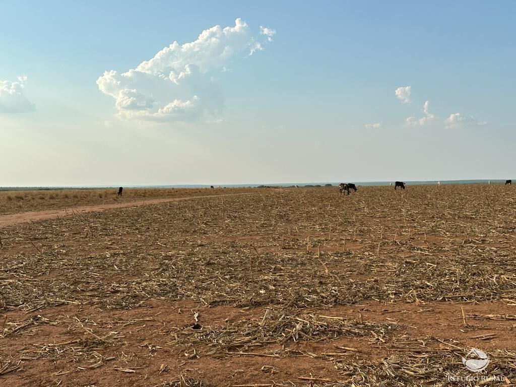 Fazenda à venda com 4 quartos, 110000000m² - Foto 16