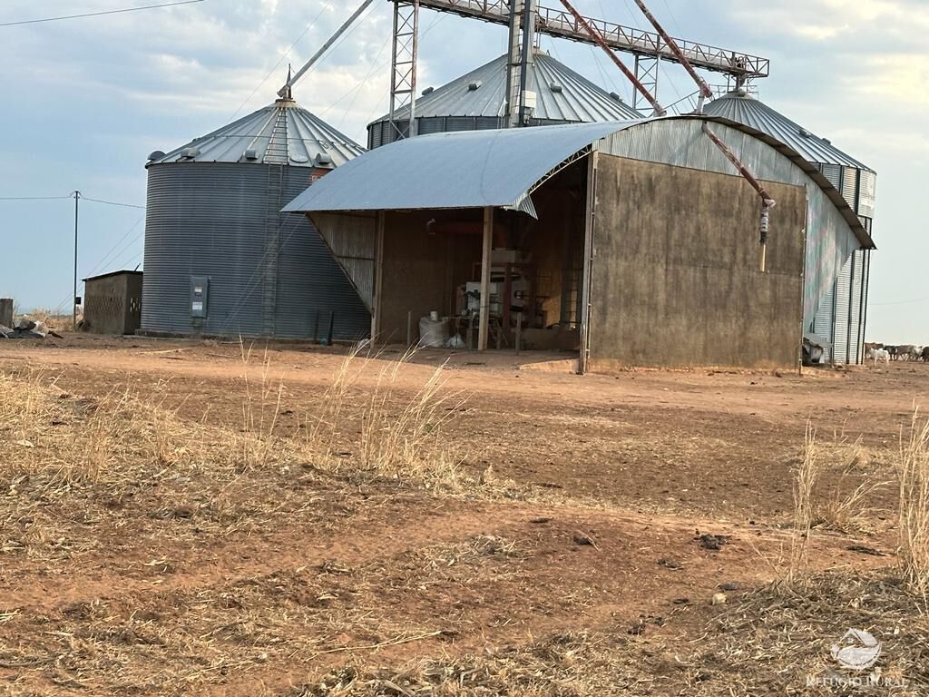 Fazenda à venda com 4 quartos, 110000000m² - Foto 23