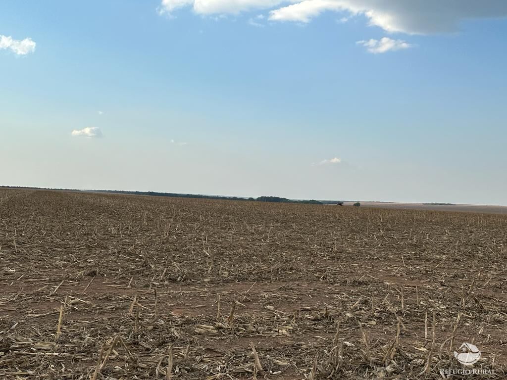 Fazenda à venda com 4 quartos, 110000000m² - Foto 12