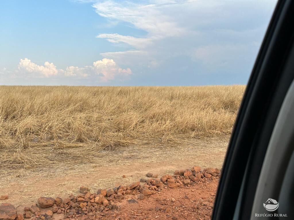 Fazenda à venda com 4 quartos, 110000000m² - Foto 15