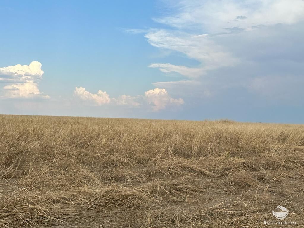 Fazenda à venda com 4 quartos, 110000000m² - Foto 2