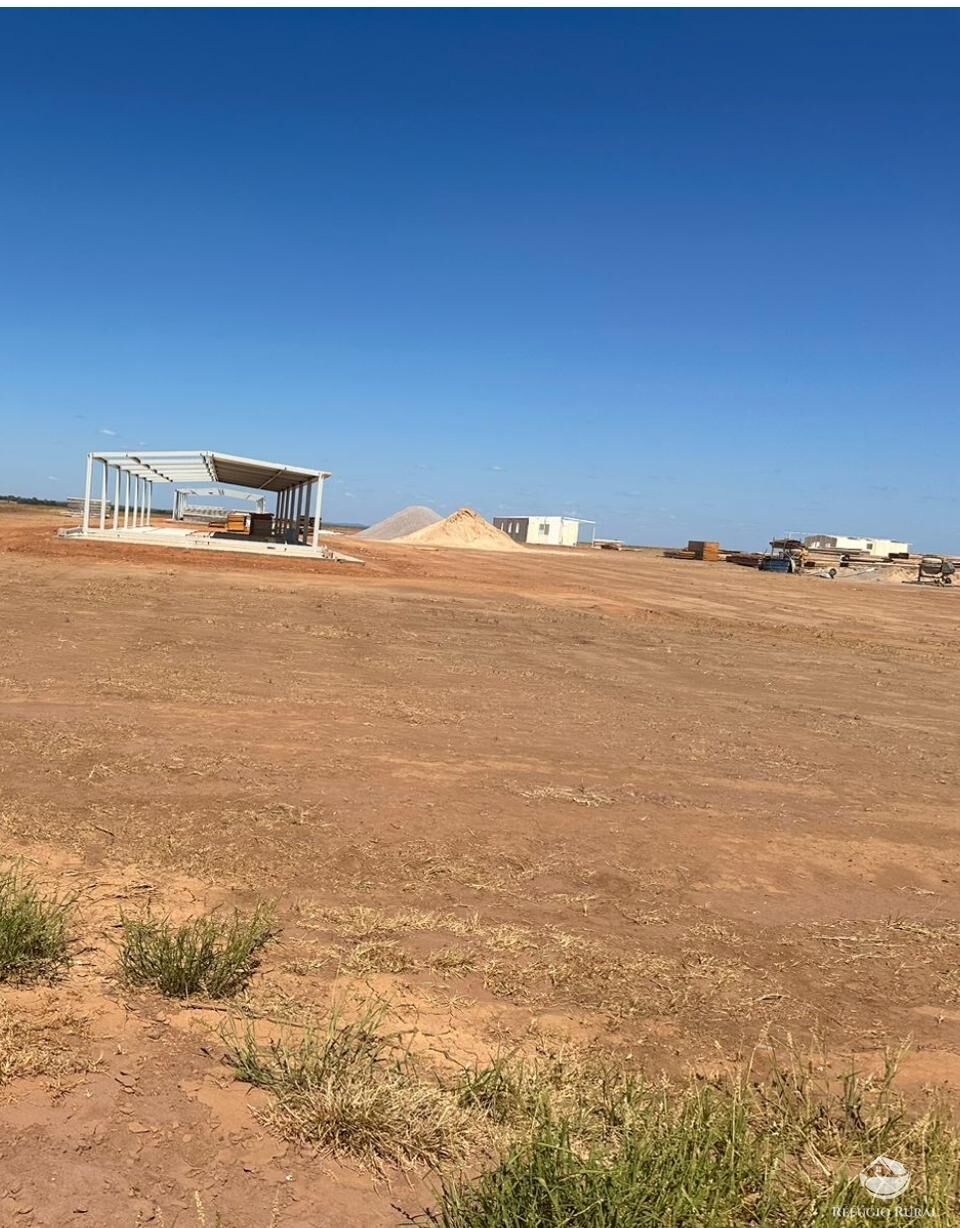 Fazenda à venda com 4 quartos, 110000000m² - Foto 13