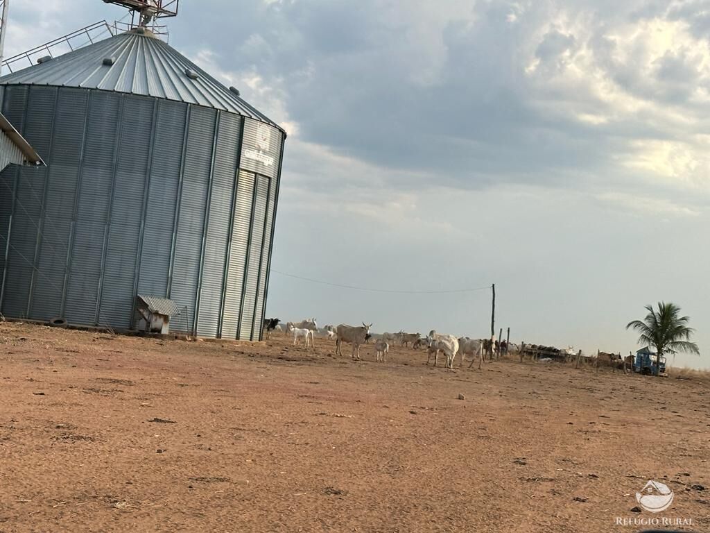 Fazenda à venda com 4 quartos, 110000000m² - Foto 21