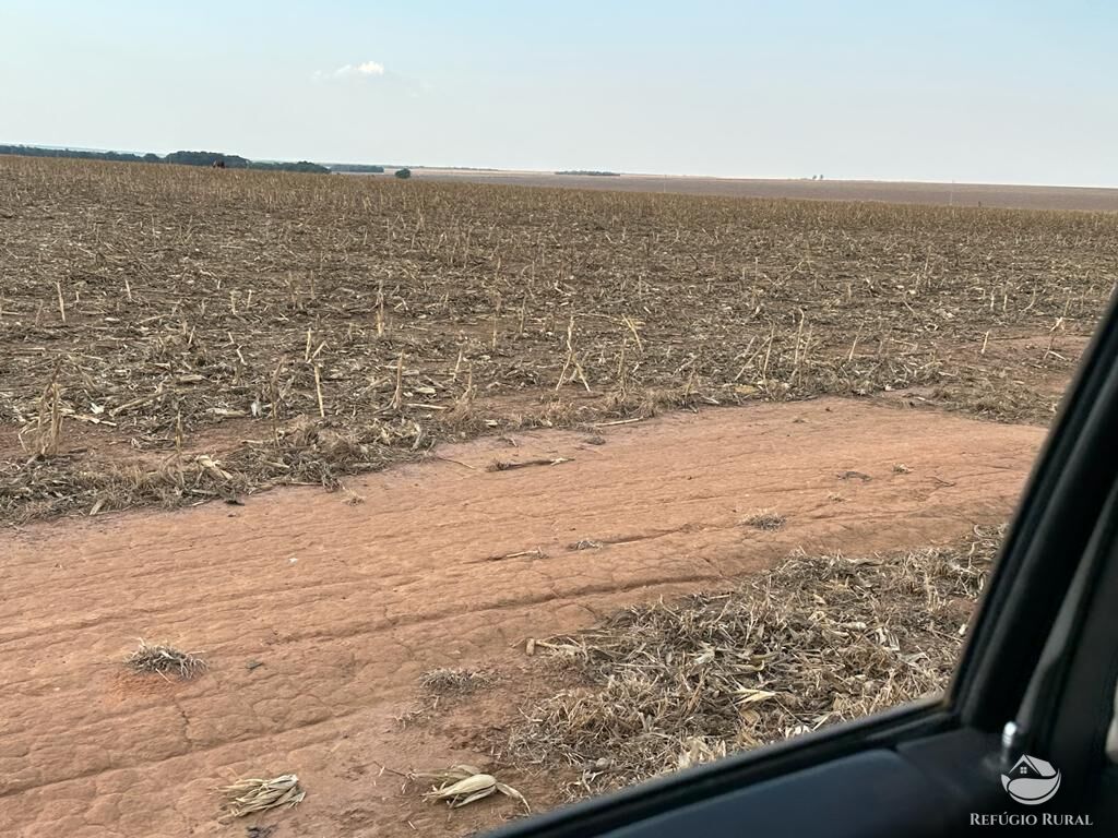 Fazenda à venda com 4 quartos, 110000000m² - Foto 14