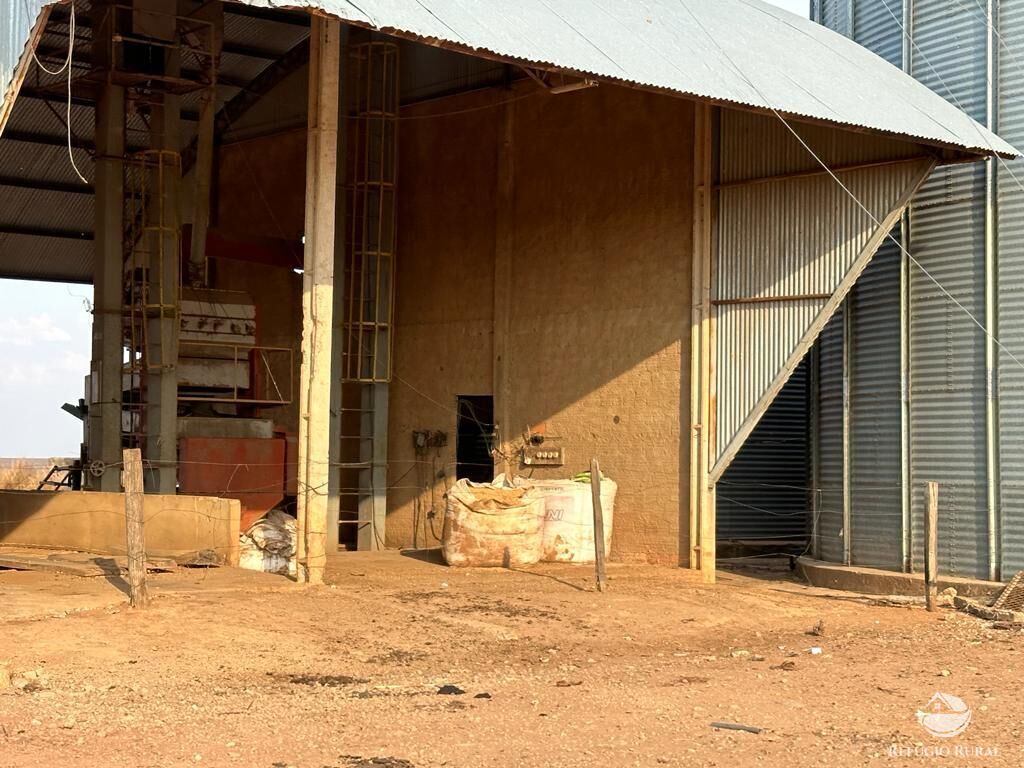 Fazenda à venda com 4 quartos, 110000000m² - Foto 22