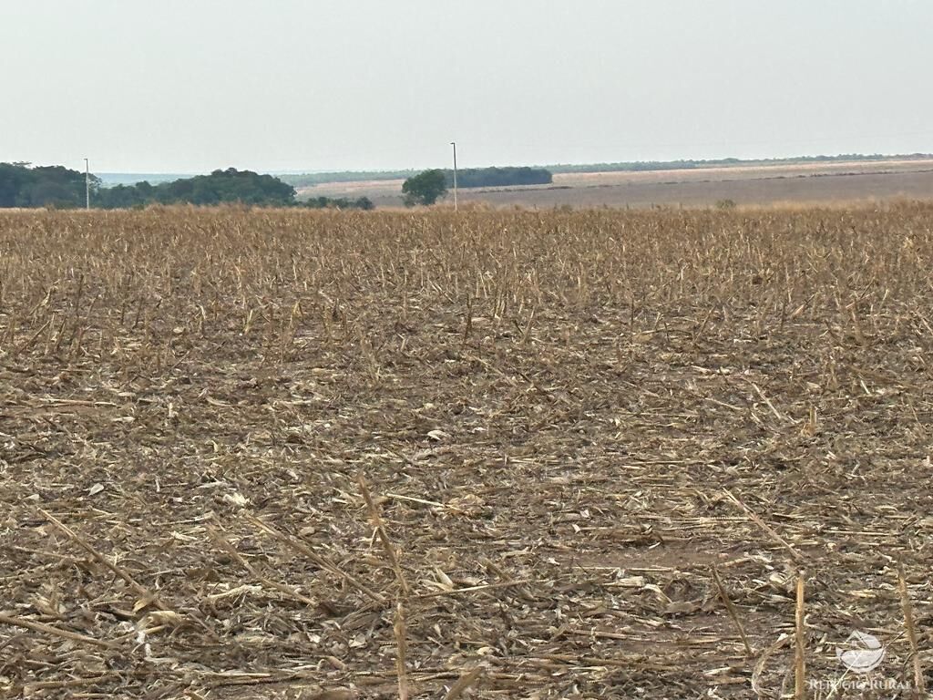 Fazenda à venda com 4 quartos, 110000000m² - Foto 4