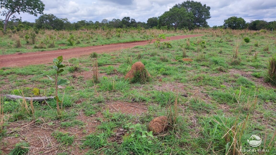 Fazenda à venda com 1 quarto, 7889200m² - Foto 11