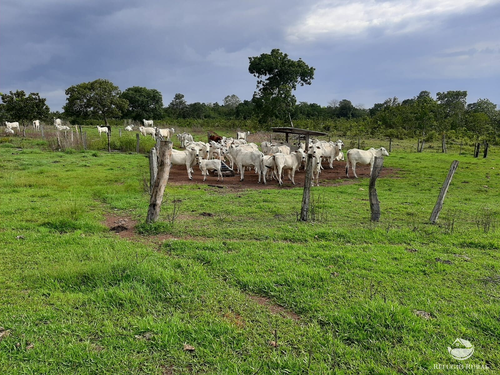 Fazenda à venda com 1 quarto, 7889200m² - Foto 4