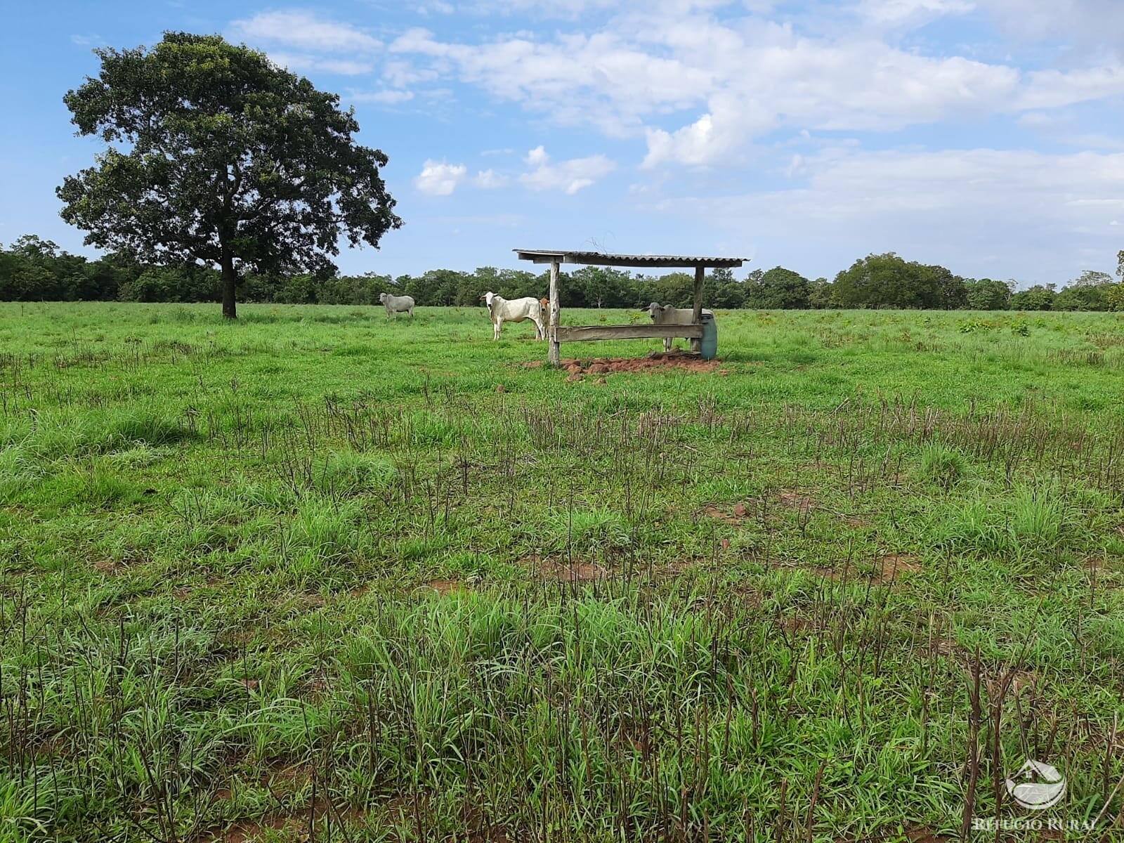 Fazenda à venda com 1 quarto, 7889200m² - Foto 3