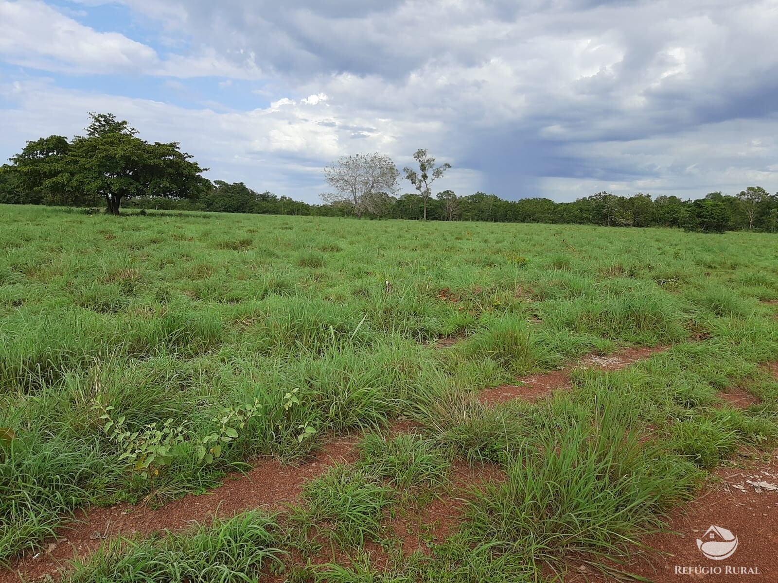 Fazenda à venda com 1 quarto, 7889200m² - Foto 22