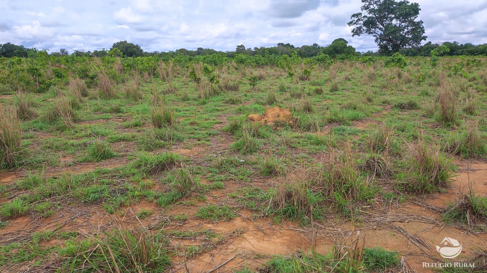 Fazenda à venda com 1 quarto, 7889200m² - Foto 13