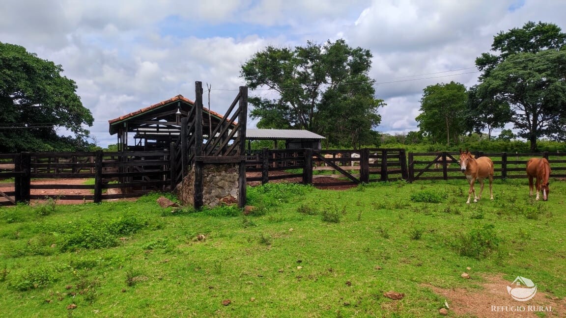 Fazenda à venda com 1 quarto, 7889200m² - Foto 7