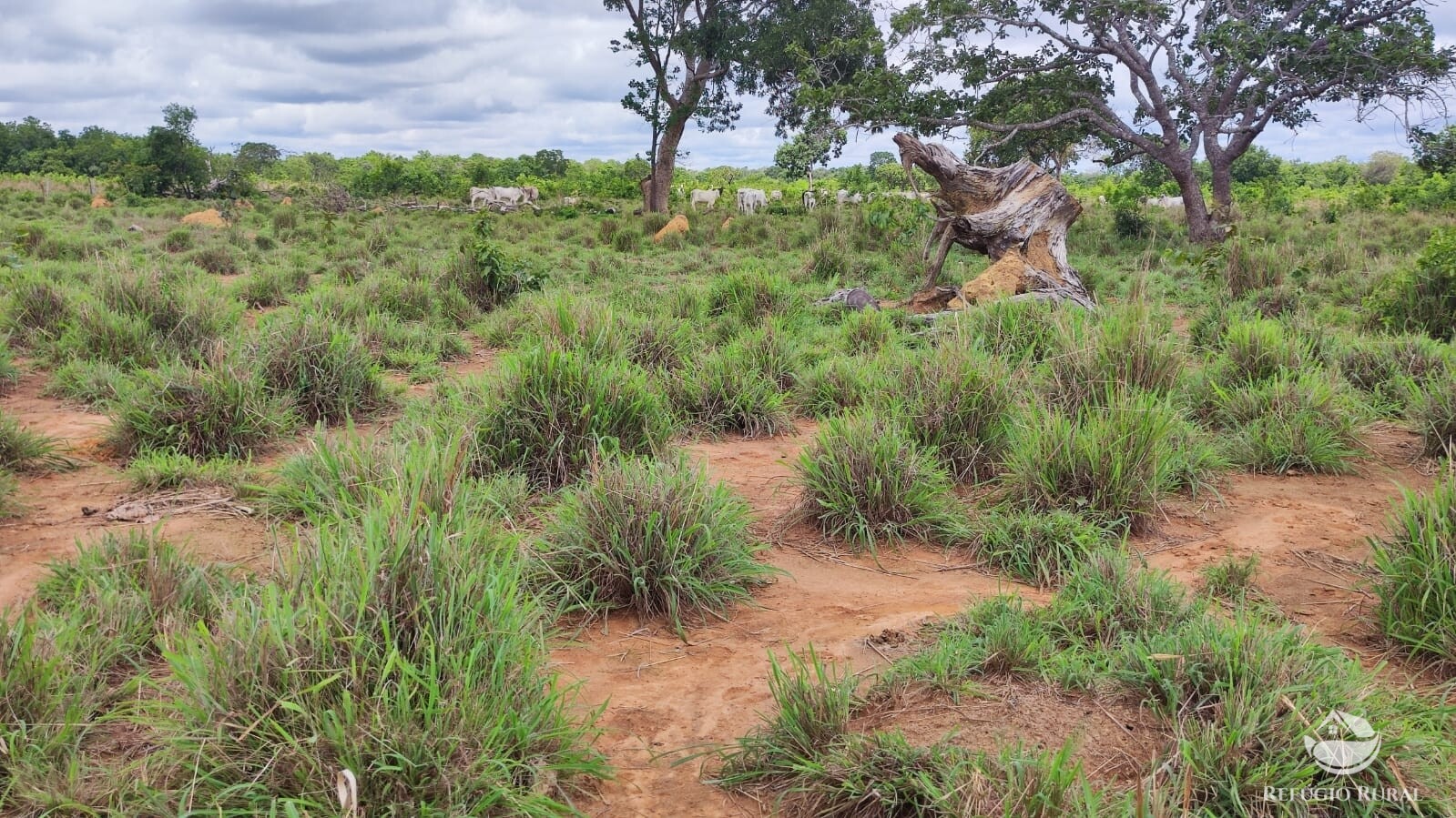 Fazenda à venda com 1 quarto, 7889200m² - Foto 12