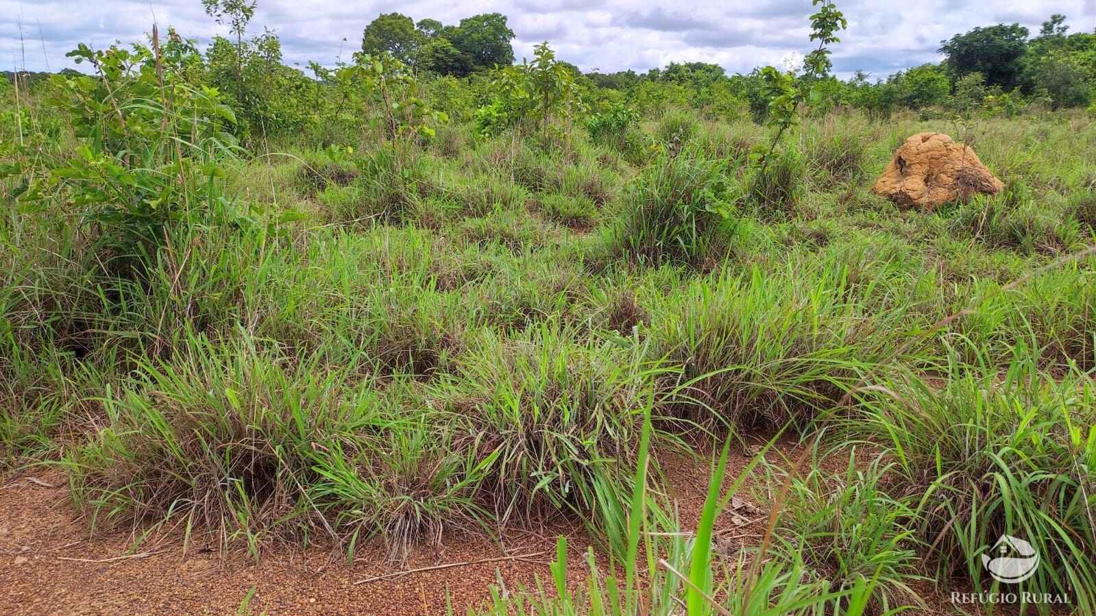 Fazenda à venda com 1 quarto, 7889200m² - Foto 8